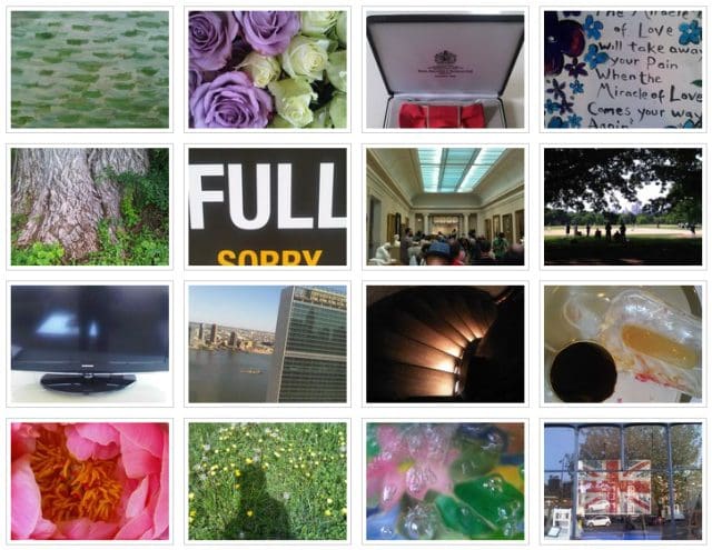 Annies Photo Gallery